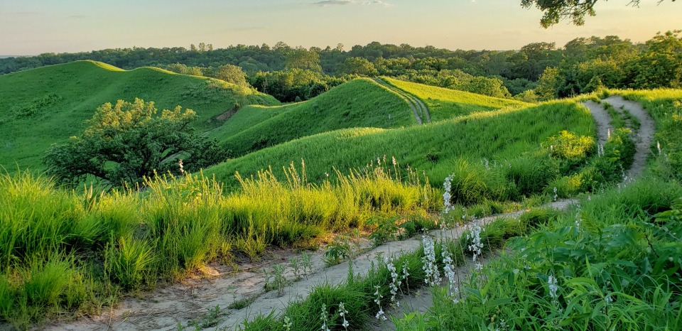 Featured image for 