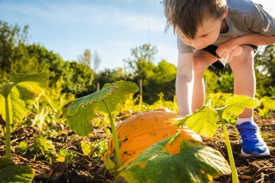 Featured image for Festive Fall Events and Attractions in Pottawattamie County