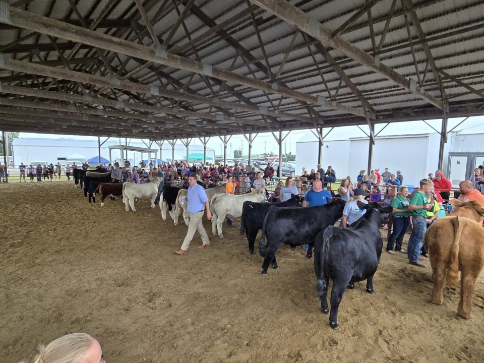 Featured image for Livestock, Live Music & Family Fun: The Pottawattamie County Fair Returns