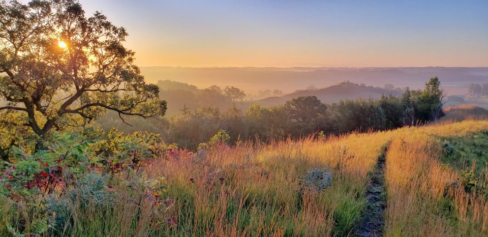 Featured image for The Loess Hills National Scenic Byway 
