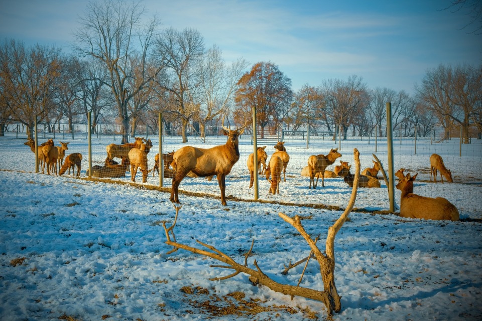 Featured image for 