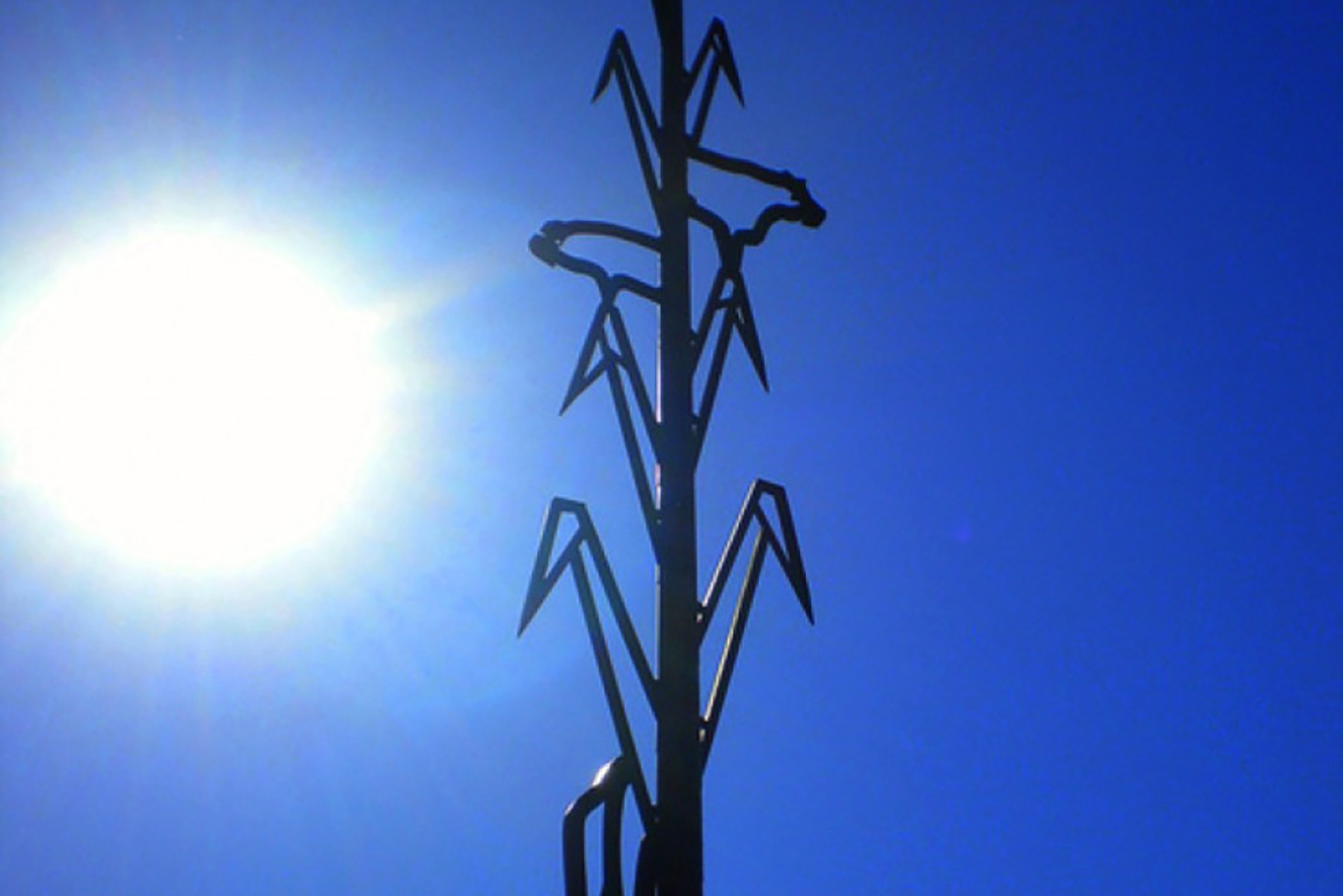 Featured image for 