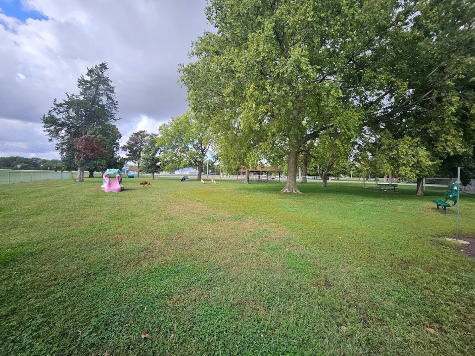 Featured image for Avoca Dog Park